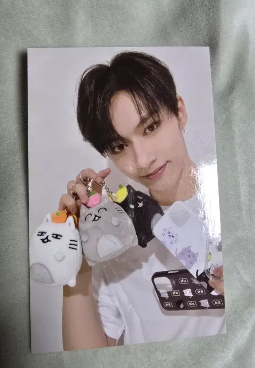 SEVENTEEN(セブンティーン・セブチ) ミニ ぬいぐるみ ジュン(JUN) IN