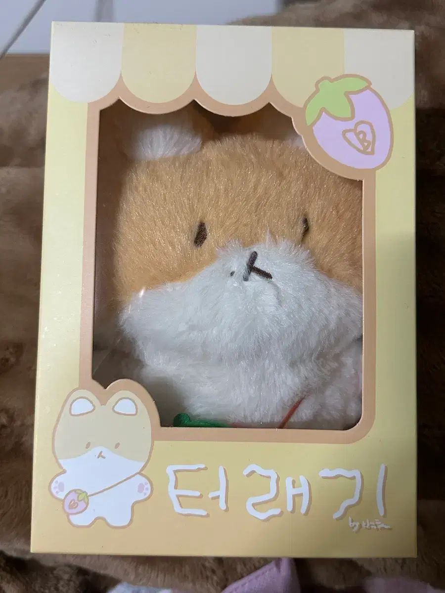 トレギ TEOLAEGI 20cm あなたが 私を守らなければならない 【公式通販】