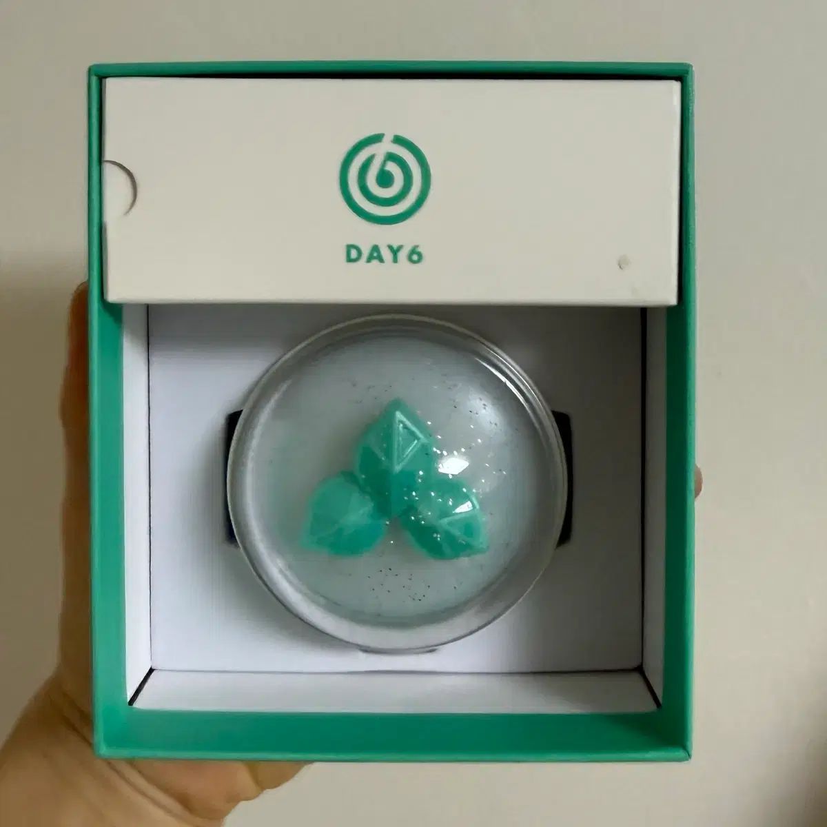 DAY 6 LIGHT BAND ペンライト