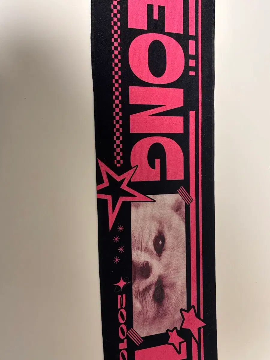 アイエン スローガン アイエン(I.N・ヤンジョンイン) Stray Kids