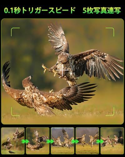 高感度センサー ソーラーパネル＆5000