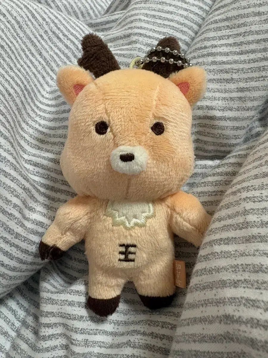 RIIZE（ライズ） ぬいぐるみ ソンチャン(SUNGCHAN) ぬいぐるみ