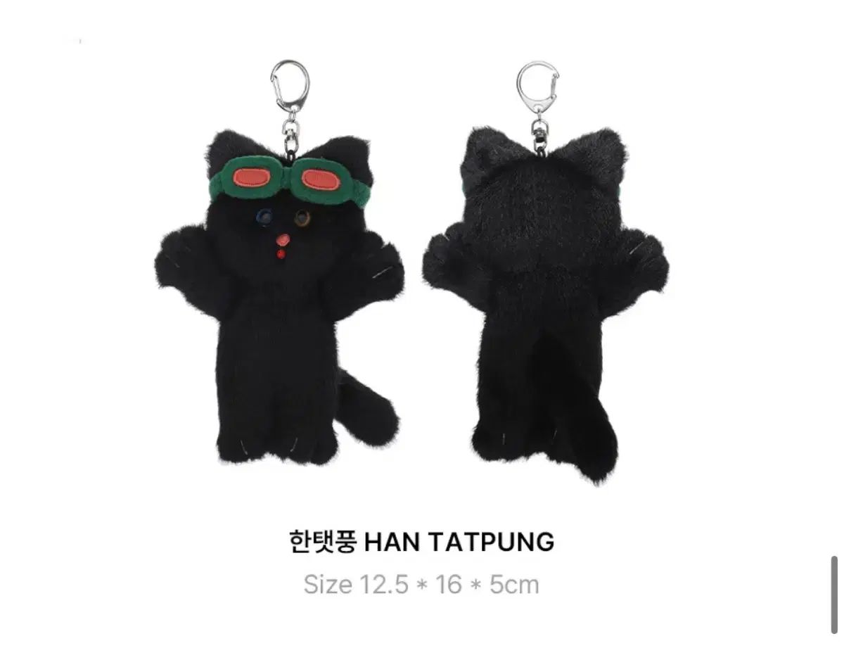 BOYNEXTDOOR(ボイネク) ボーイネクストドア 쁘넥도 テサン(TAESAN