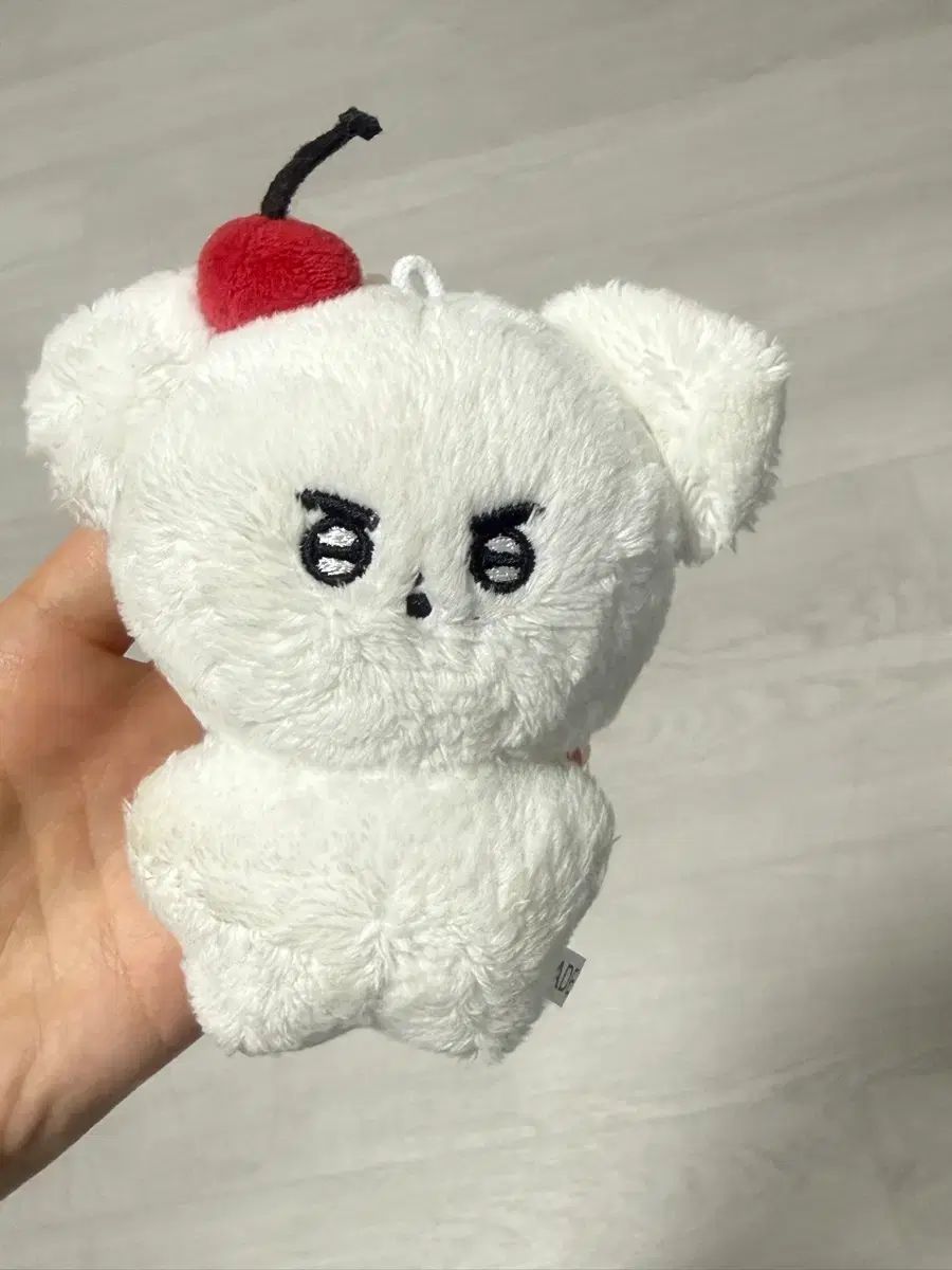 theboyz ドボイズ ヨンフン ぬいぐるみ マスコット トレカ THEBOYZ