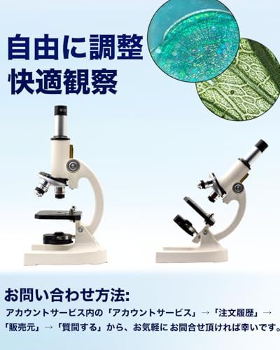 自由研究 学生成人初心者学習