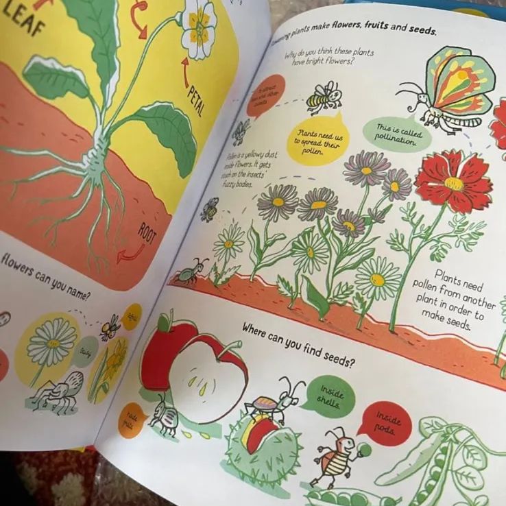 ✨即日発送✨UsborneAll you need to know 販売 5冊セット