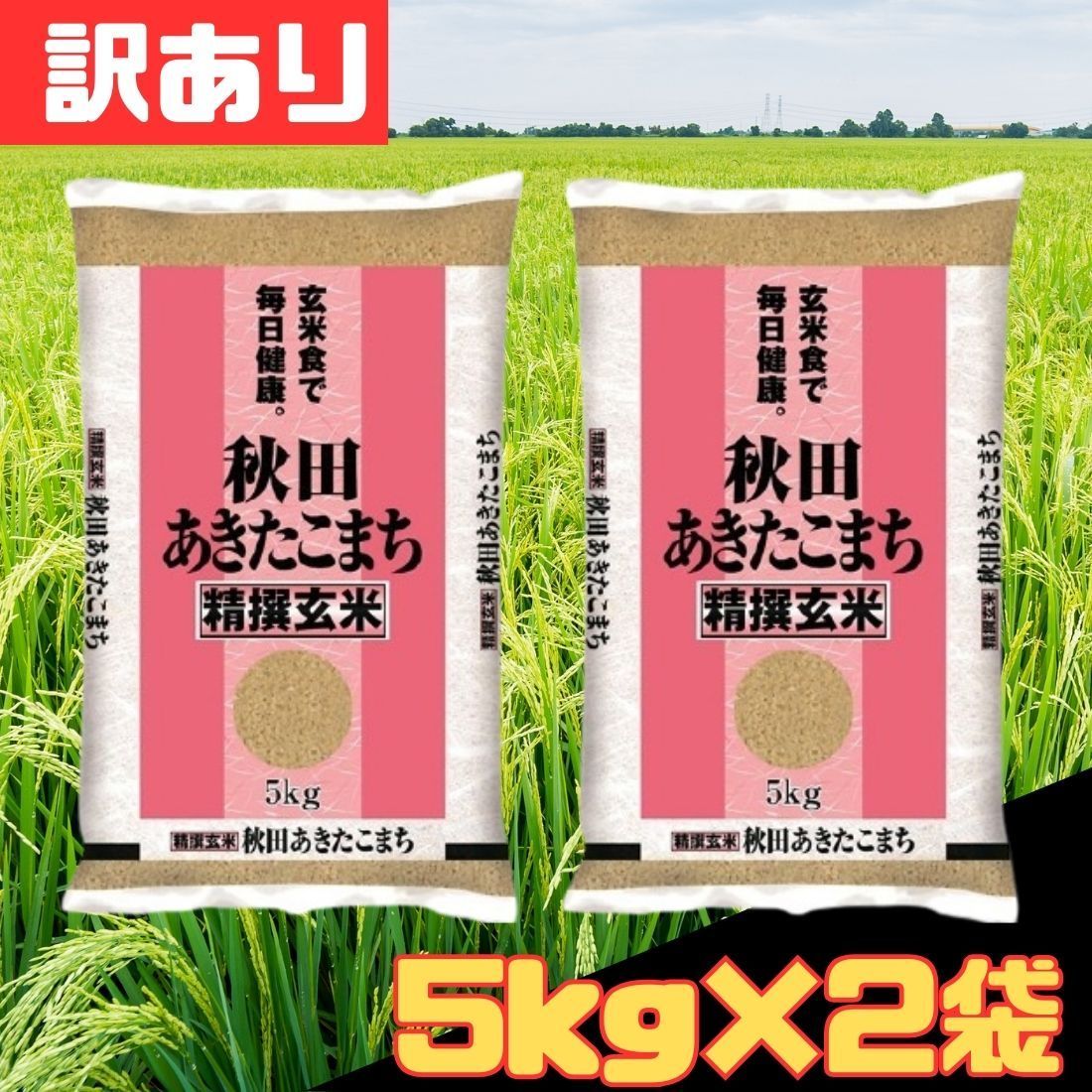 訳あり 5kg×2袋セット 令和7年産 玄米 秋田県産あきたこまち 5kg×2袋