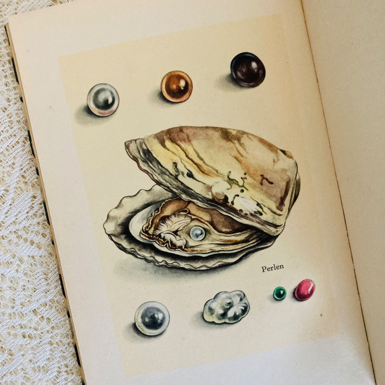 小さな鉱物の本 インゼル文庫 No. 54 鉱物・宝石の美しいイラスト