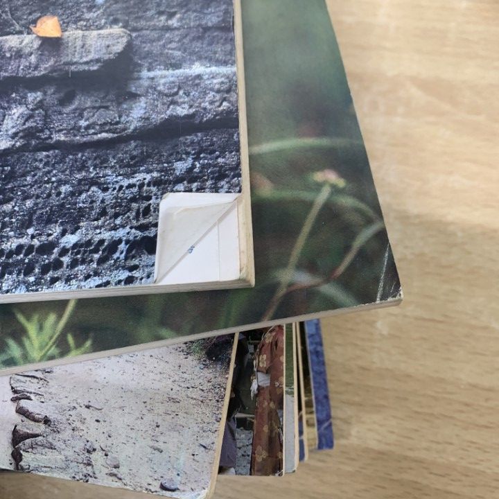 月刊国語教育 1983年 10月号 11月号 12月号 セット 国立