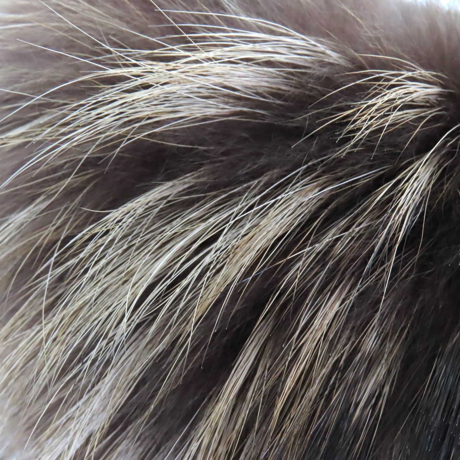 美品△DUVETICA デュベティカ ANDROCLEA アンドロクレア エルボー