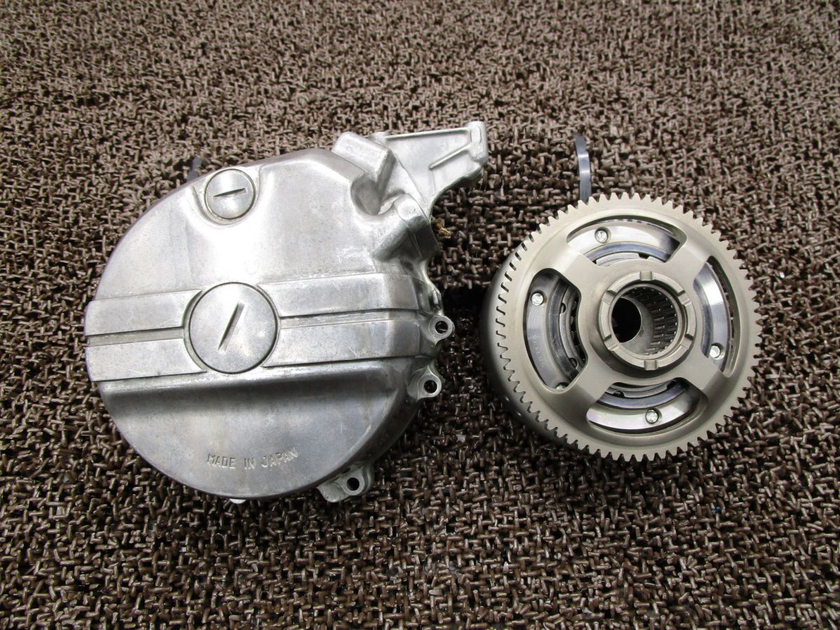 販売 極希少【1点物】アサヒガニ② 乾燥・色彩保存標本 除肉処理済