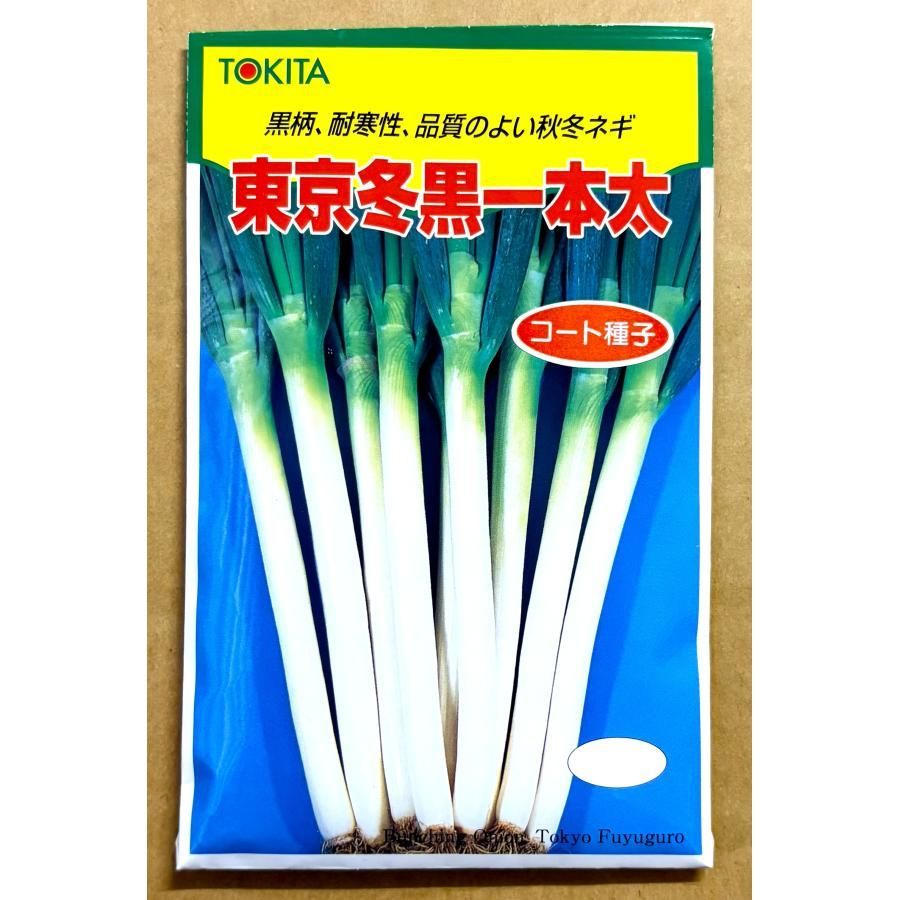 東京冬黒一本太 葱 コート種子 20ml 種 ネギ ねぎ | Shop at Mercari