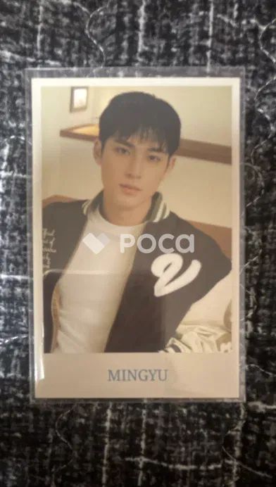 セブチ ミンギュ 2024 SVT 8TH FAN MEETING SEVENTEEN in CARAT LAND