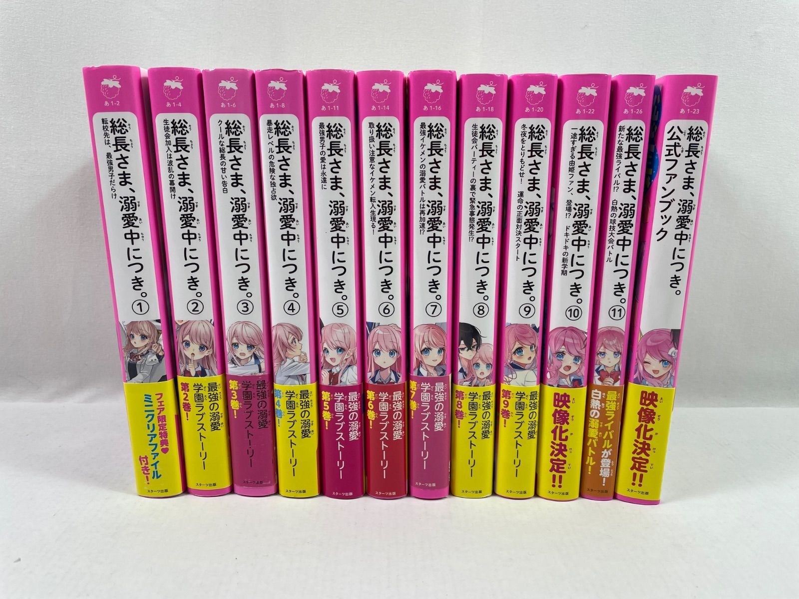 A2446・総長さま、溺愛中につき。 1-11巻 + ファンブック 12冊 野 