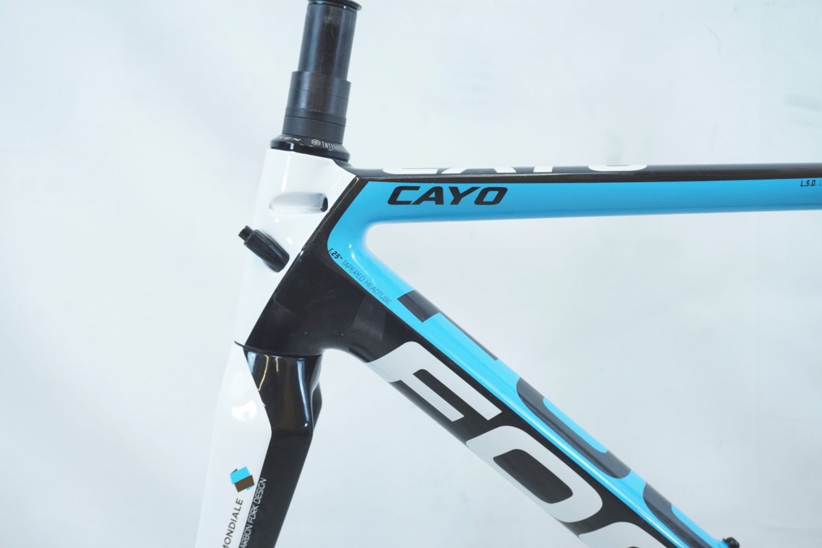 FOCUS 「フォーカス」 CAYO EV 2013 フレームセット / バイチャリ有明