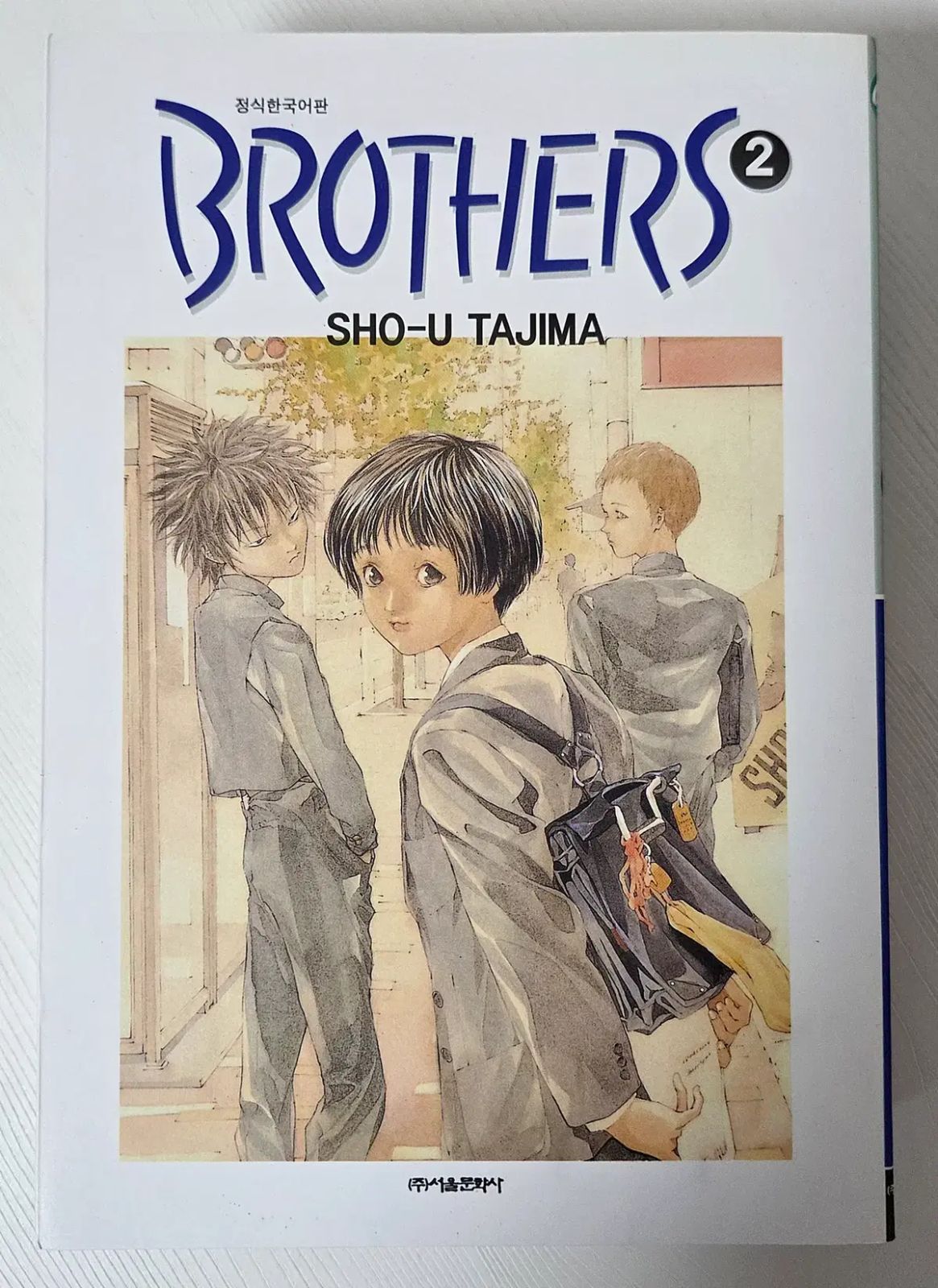 芸術写真 photo print ブラザーズ BROTHERS 1 - 4 (完了) タジマ ショウ 表紙 傷 汚れ 変色