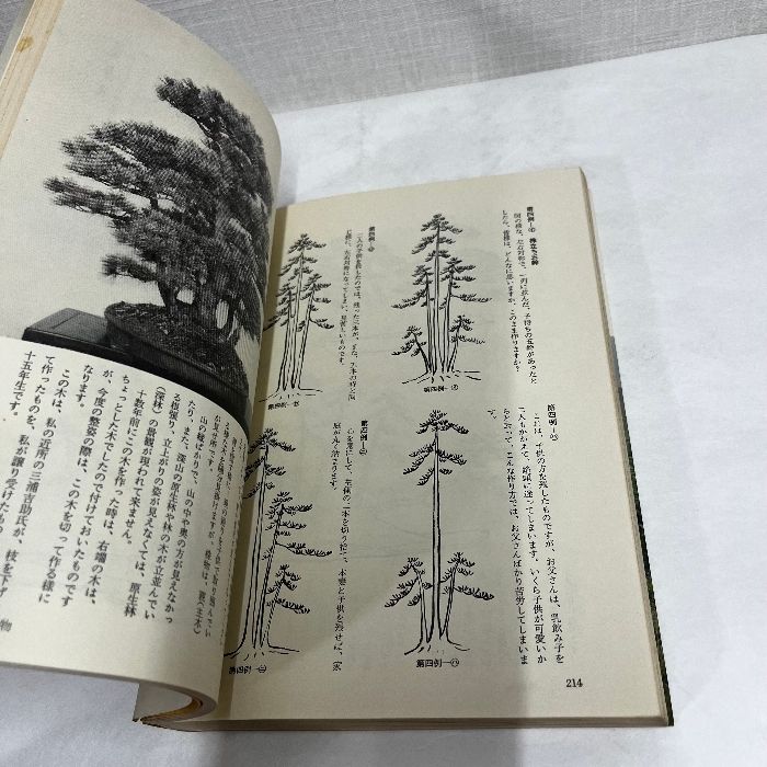 図解 盆栽樹形の作り 阿部倉吉 【公式通販】