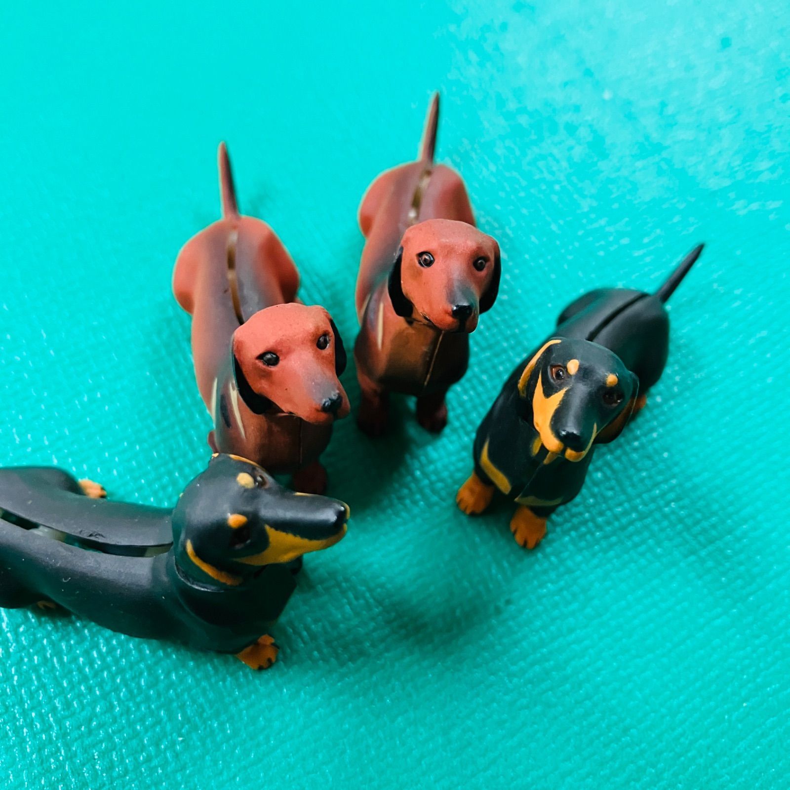 4種7個セット】海洋堂 チョコエッグ ペット動物コレクション