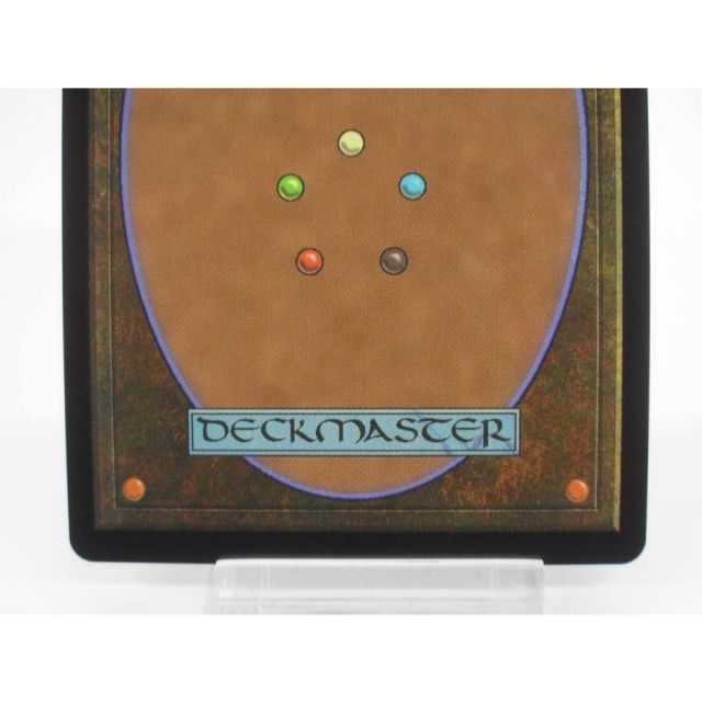 MTG スピラの希望、ユウナ チョコボトラック・Foil (571) ボーダーレス