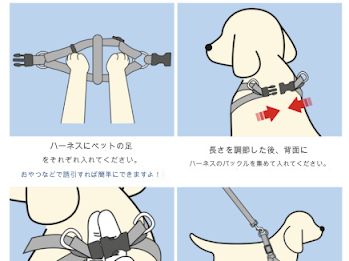 ペット用 犬用 くまちゃん付き ハーネスセット 花柄 ライトブルー