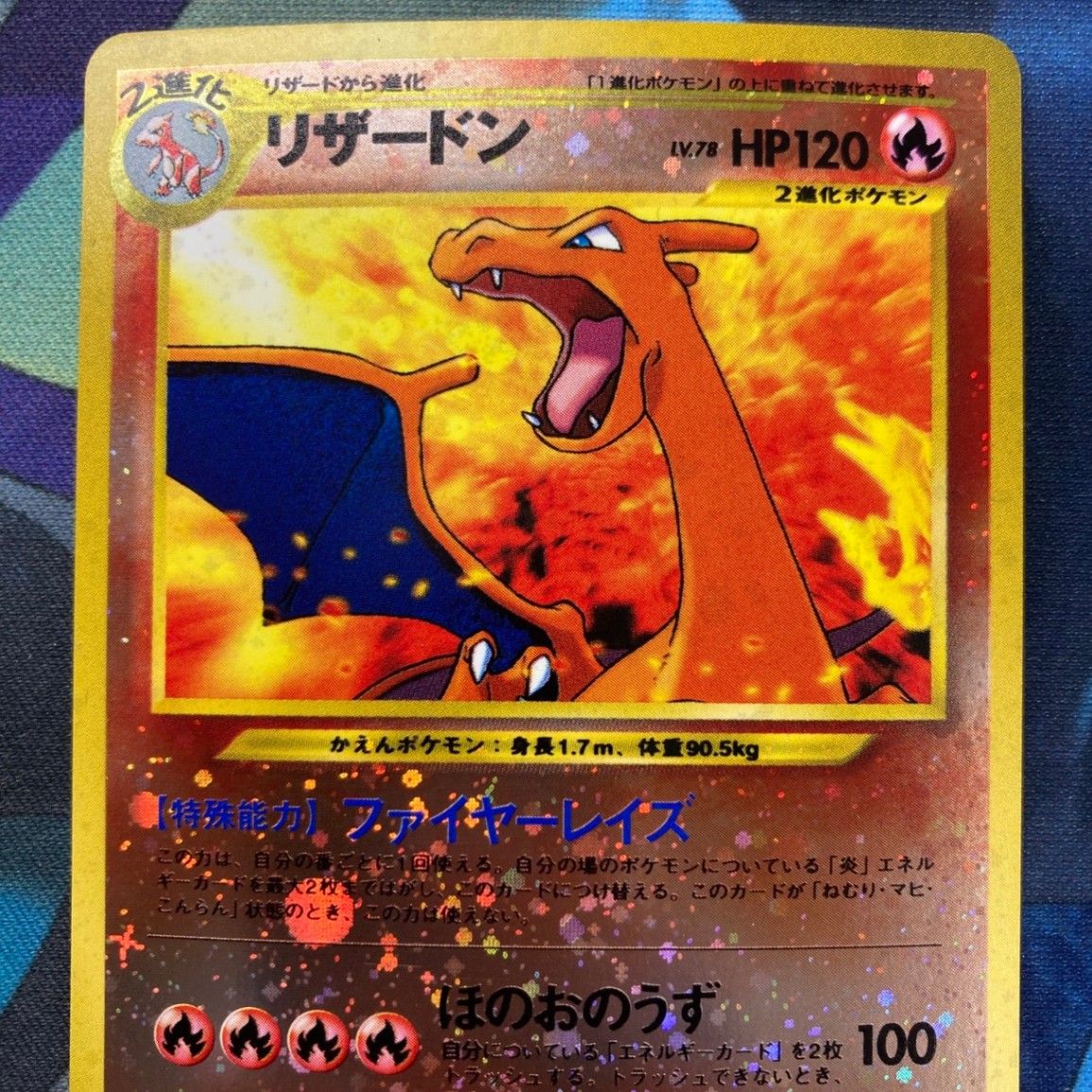 リザードンHolo ムファイル２旧裏