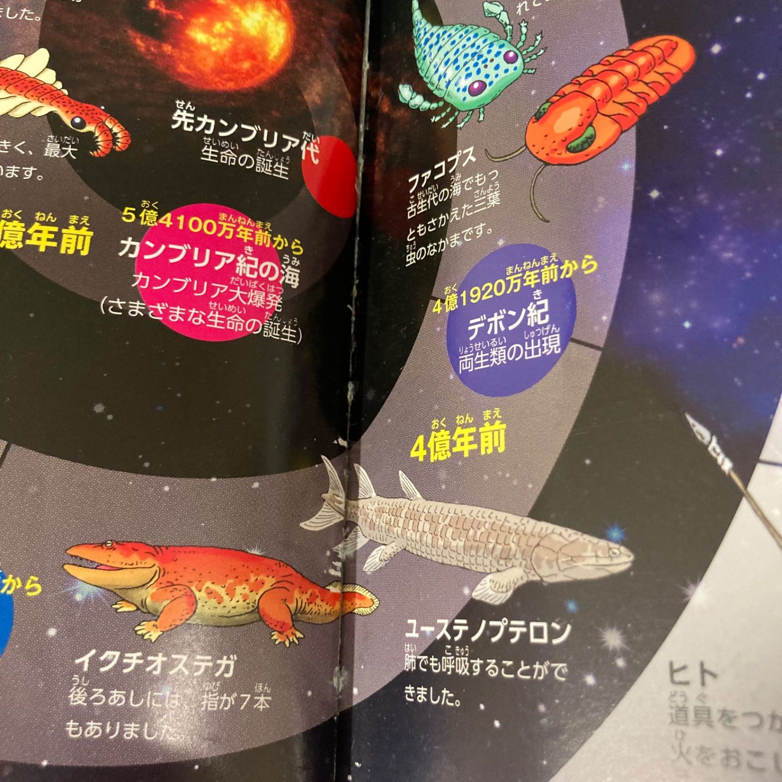 図鑑7冊セット 恐竜・両生類・魚など DVDあり】「講談社の動く図鑑MOVE 動物 恐竜 魚 は虫類・両生類 鳥