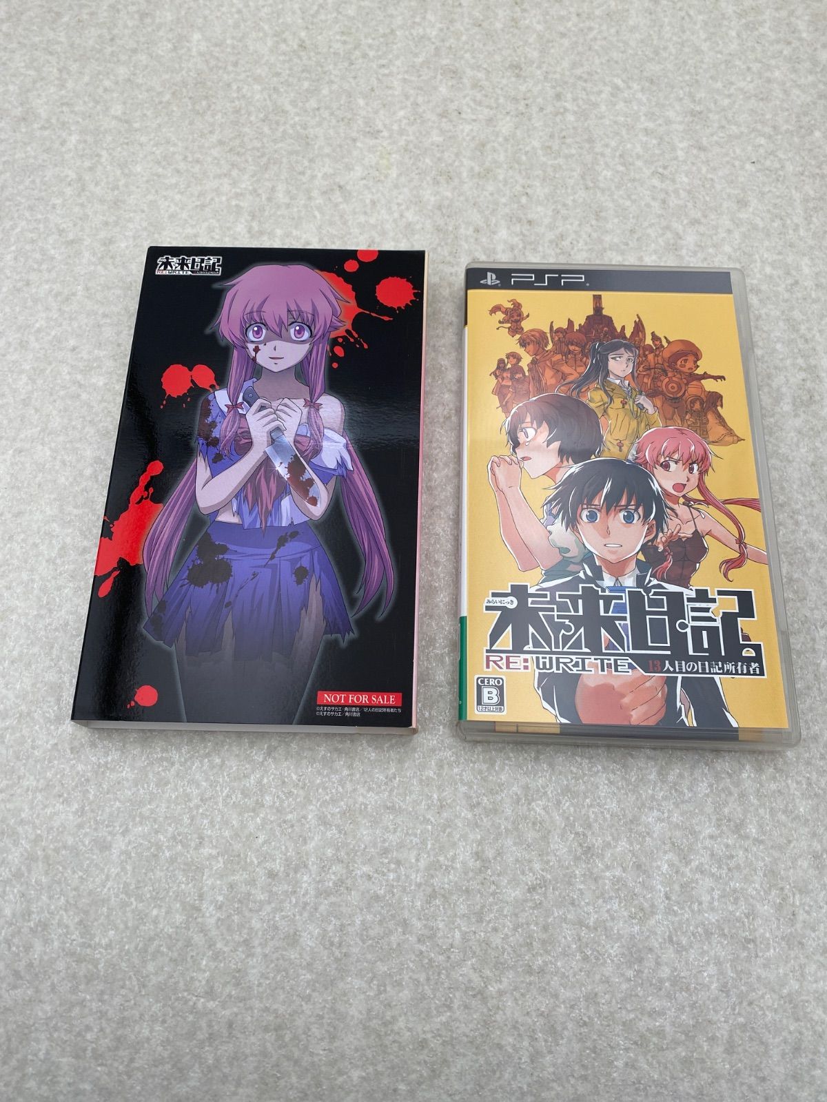 未来日記 13人目の日記所有者