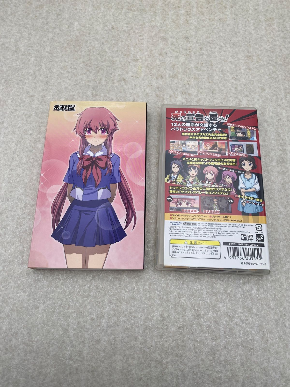 未来日記 13人目の日記所有者