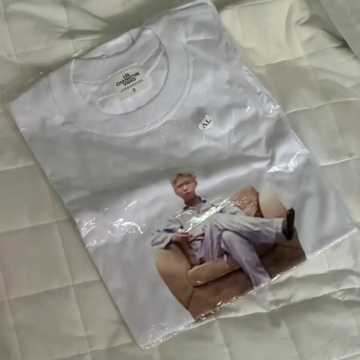 ディノ DINO イチャン チャン ヒョク インスピレーションの源 Tシャツ XL