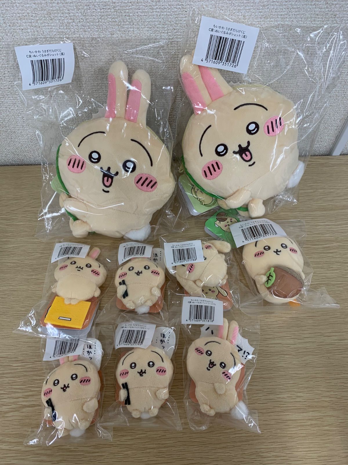 E賞 垂れ耳なうさぎ