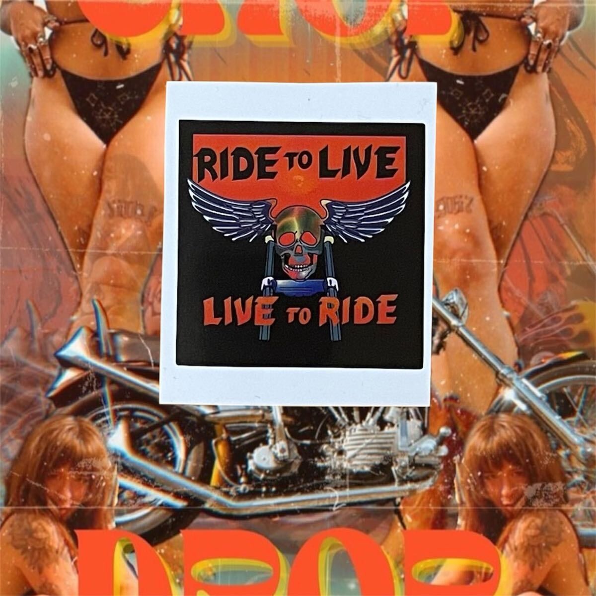 ハーレー ステッカー スカル chopper cheetah BATES ヴィンテージ