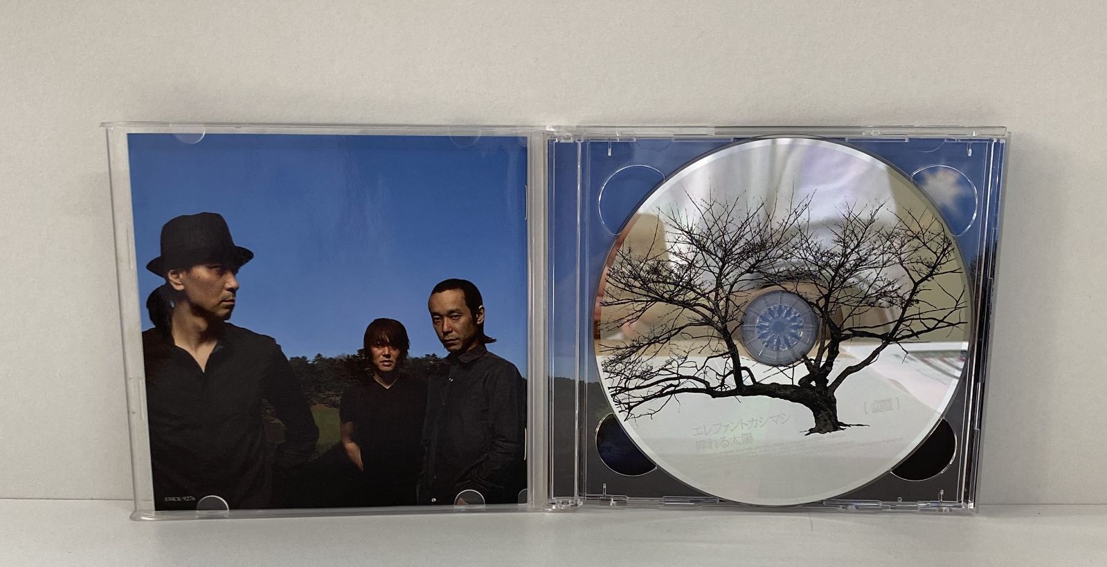 エレファントカシマシ／昇れる太陽／AB04-A04402 - メルカリ