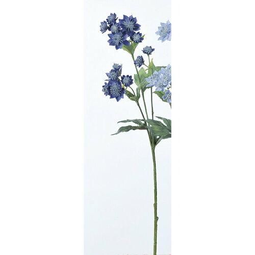 ASCA アスカ アストランティア 14 A 32959 009 R 入数 12