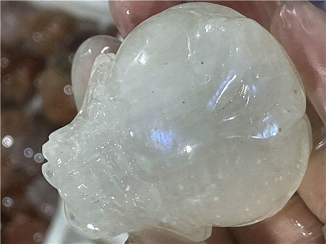 AAA級天然ムーンストーン龍亀B1126