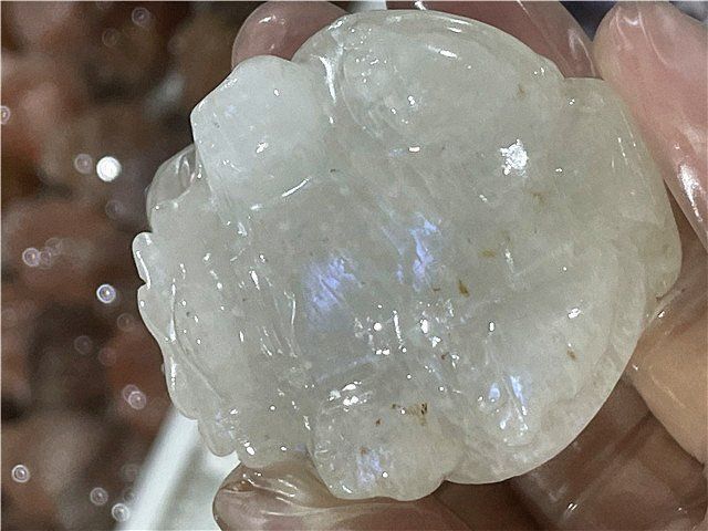  AAA級天然ムーンストーン龍亀B1126 TC 270D フレグランス小物 置物 インテリア小物