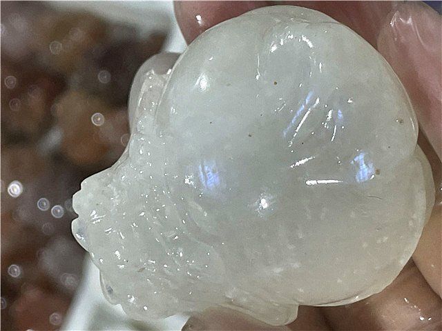 AAA級天然ムーンストーン龍亀B1126 TC