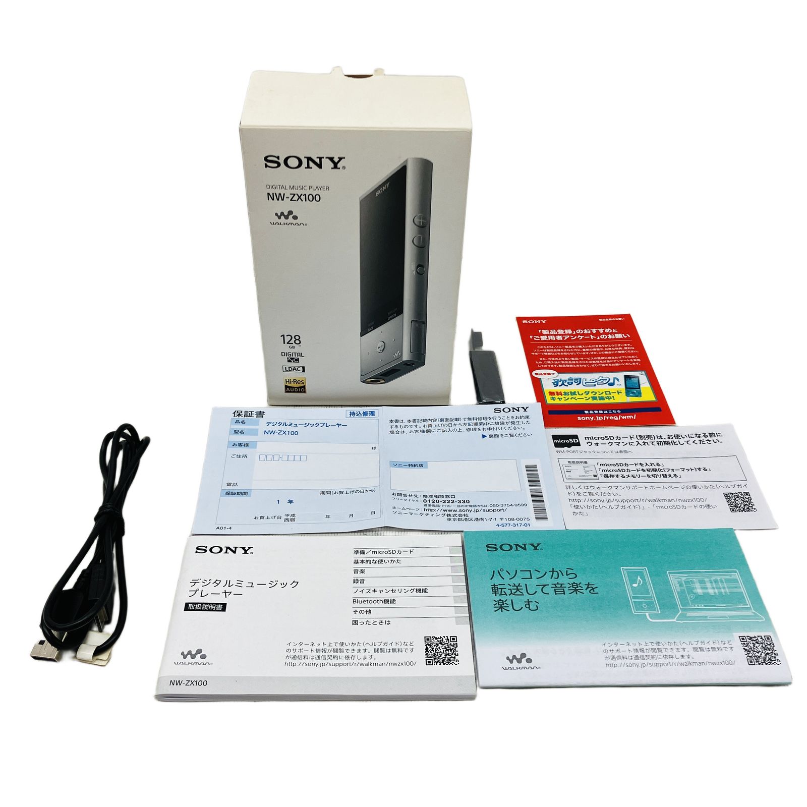 SONY NW-ZX100 WALKMAN ポータブル デジタルオーディオプレーヤー