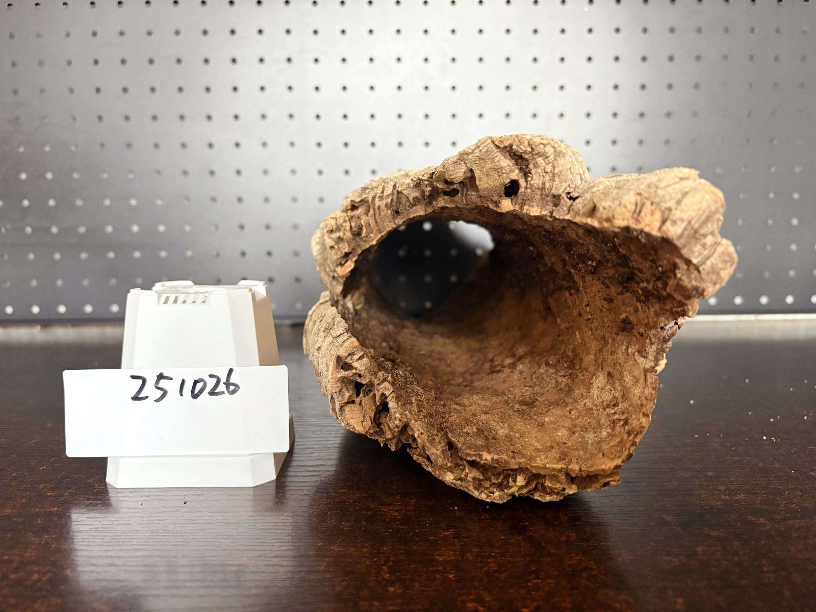 251026 ポルトガル産 キャノンコルク コルク樹皮 コルク板 バージン