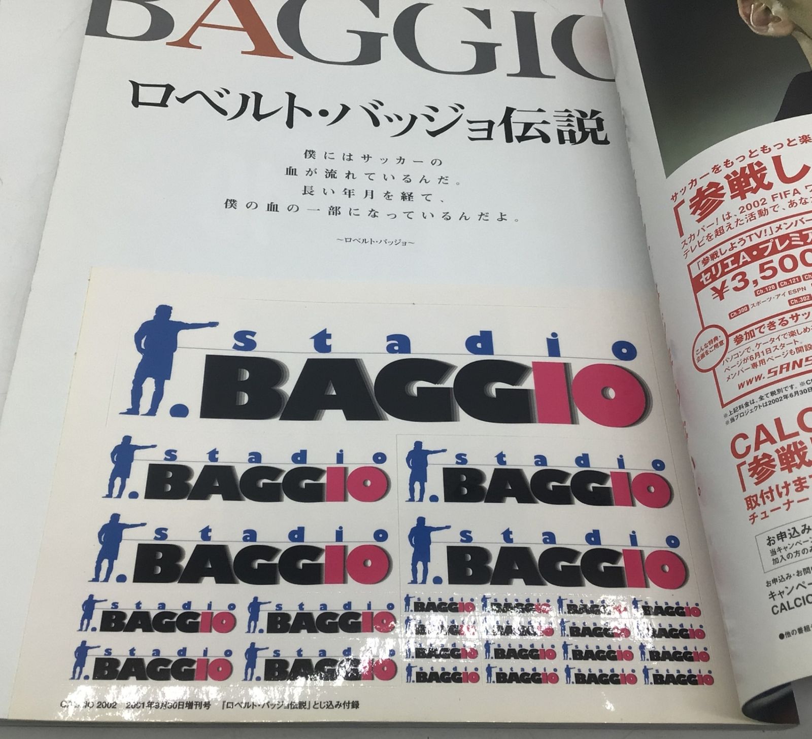 12499 【5冊セット】ロベルト・バッジョ 関連本 まとめ 特集号