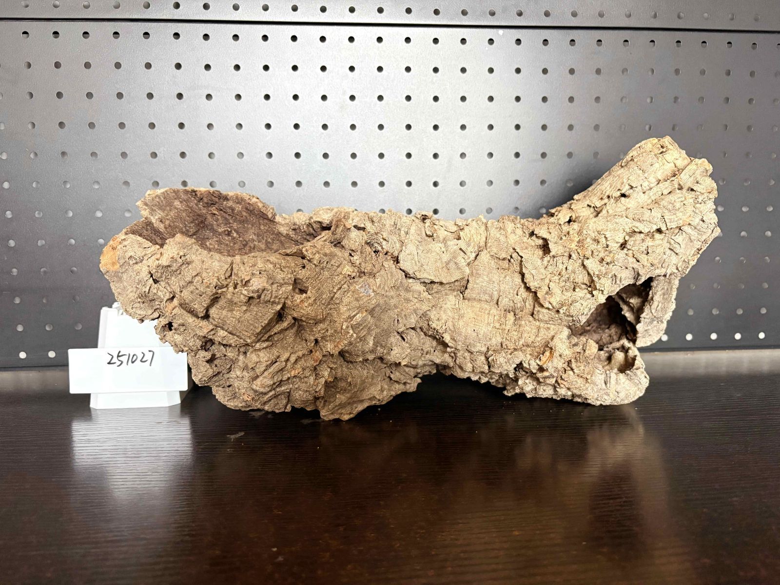 251027 ポルトガル産 キャノンコルク コルク樹皮 コルク板 バージン