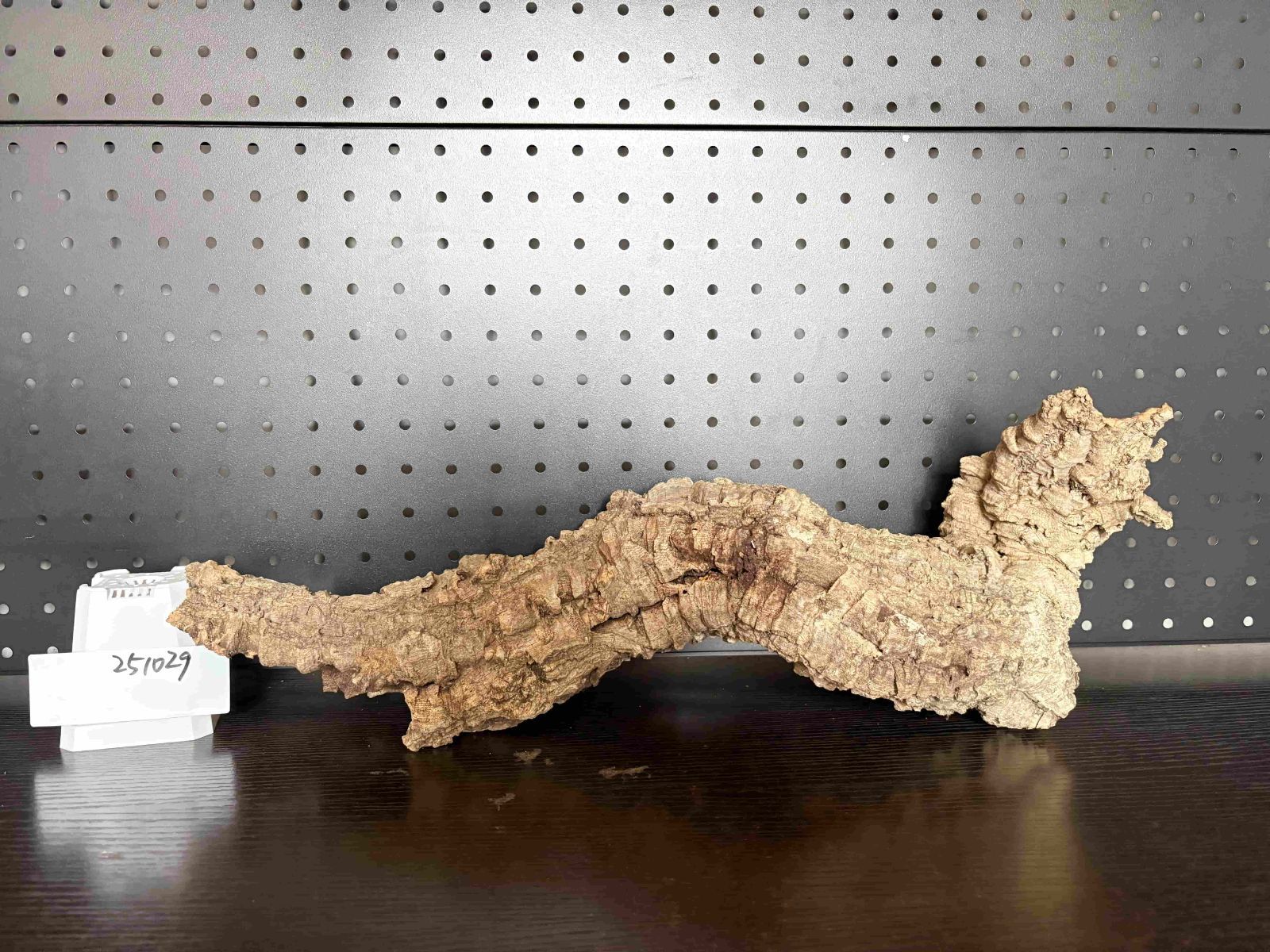 251029 ポルトガル産 キャノンコルク コルク樹皮 コルク板 バージン