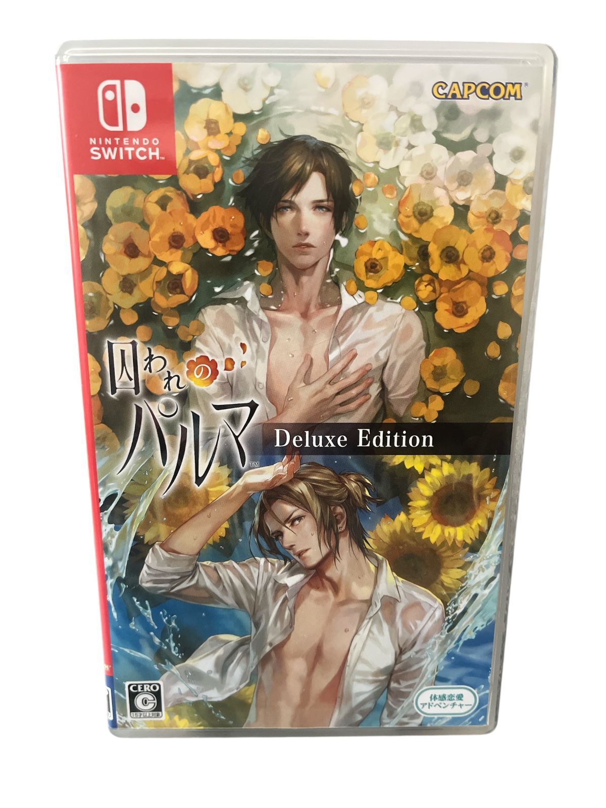 囚われのパルマ デラックス エディション -Switch【中古品】 - メルカリ