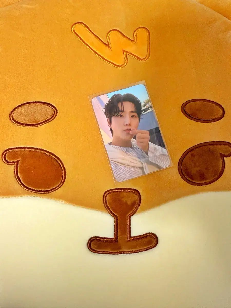 DAY 6 デニマルズ DENIMALZ 座布団 ケ