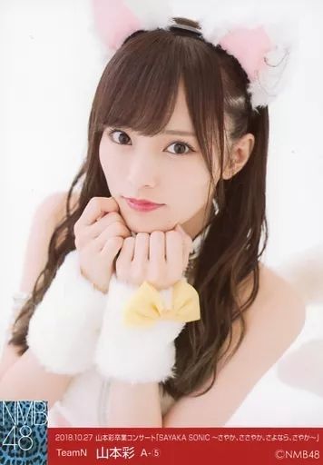 中古】生写真(AKB48・SKE48) A-(5)：山本彩/山本彩卒業コンサート