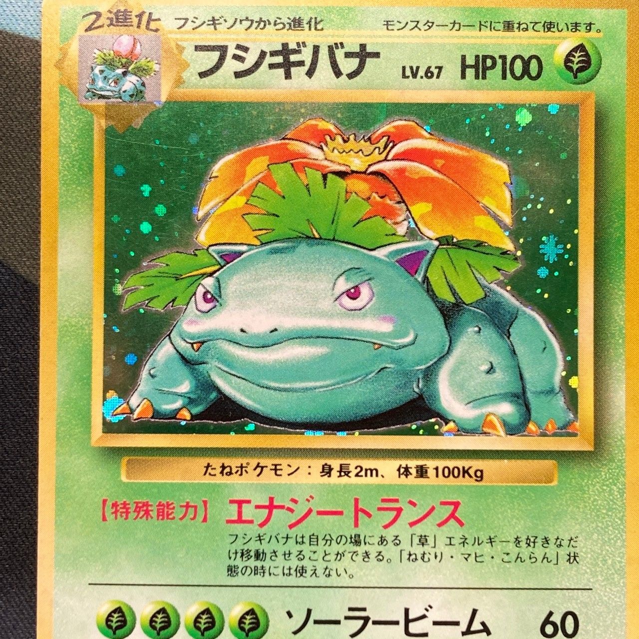 ポケカ 旧裏 リザードン&フシギバナ 9連番ポケモンカードクラシックclassic フシギバナ リザードン