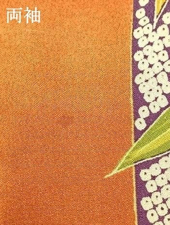 平和屋着物●訪問着　笹竹枝花文　暈し染め　金彩　正絹　逸品　CABC7185yc 平和屋着物□訪問着 平和屋着物▽訪問着 笹竹地紋 暈し