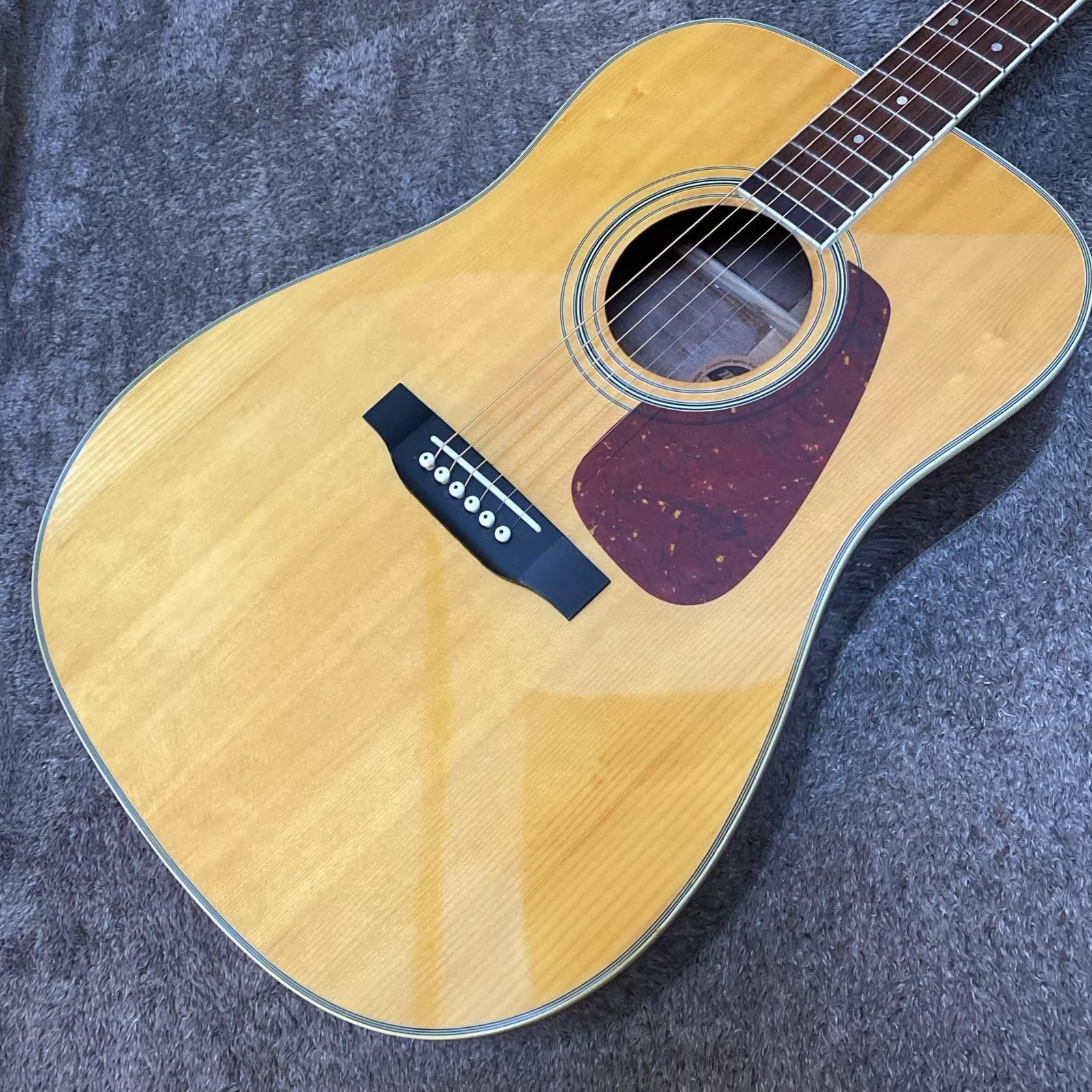 Morris MD-251N モーリス アコースティックギター ソフトケース 付き