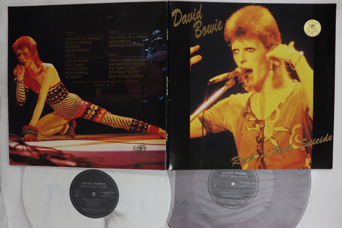 ルクセンブルグ2discs LP David Bowie Rocknroll Suicide TSP0412 人気