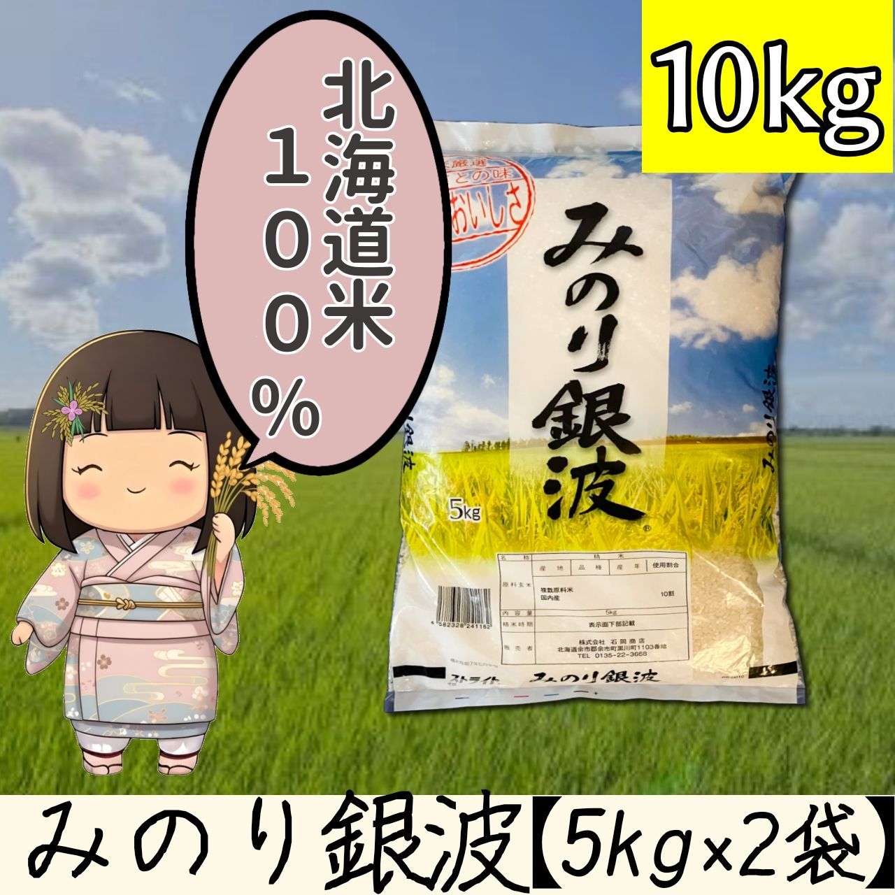 みのり銀波 北海道米100% ブレンド米 5kg×2袋 計10kg 6月下旬精米 お米 白米 精米