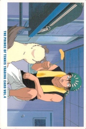 ux350 テニプリ Vol.4 No.22 海堂薫 カルピン 猫 ストーリー テニスの